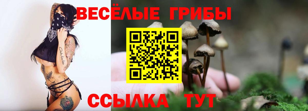 Галлюциногенные грибы Cubensis Касимов